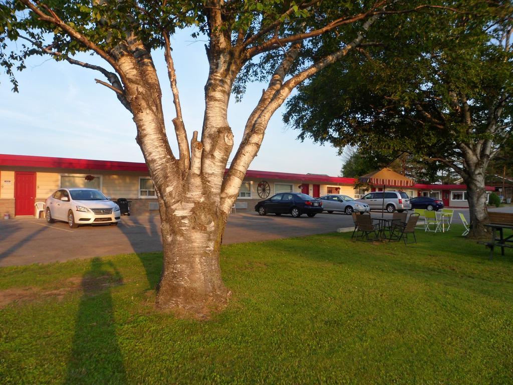 The Silver Birch Motel Goderich Kültér fotó